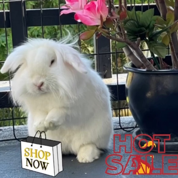 Meet your Posher, Melanie - Picture 4 of 8